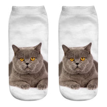 Lifelike Cat Socks - BestTrendsShop.com