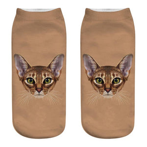 Lifelike Cat Socks - BestTrendsShop.com