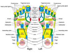 Reflexology Acupressure Foot Massager - BestTrendsShop.com